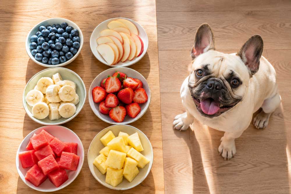 Safe fruits French Bulldogs can eat